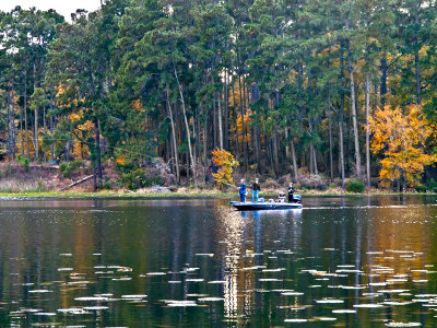 Fishing #1 Huntsville State Park, casting tward shore with a few lily pads