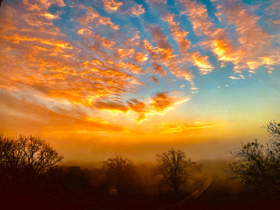 Sunrise from bedroom window #15