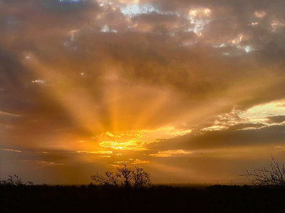 Sunrise from my bedroom window #18