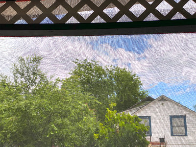 Window screen with funny lines. (Must enlarge to see.)