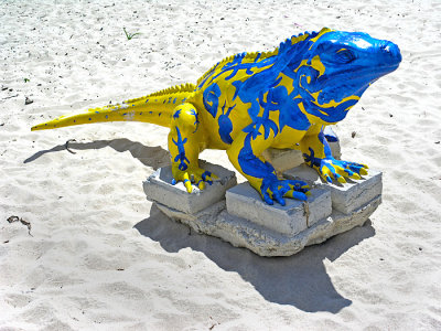 Yellow and blue lizard