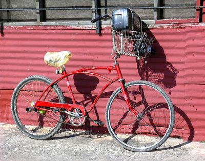 Cook's bicycle, Taylor cafe