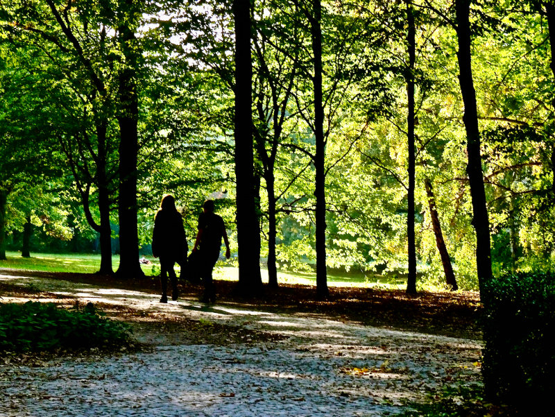 Autumn in the Tiergarten 
