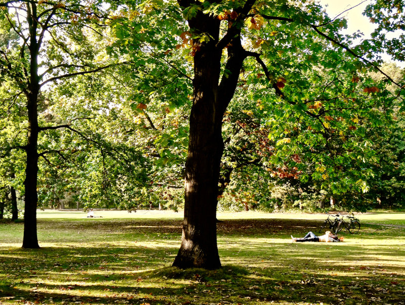 Autumn sunshine in the Tiergarten