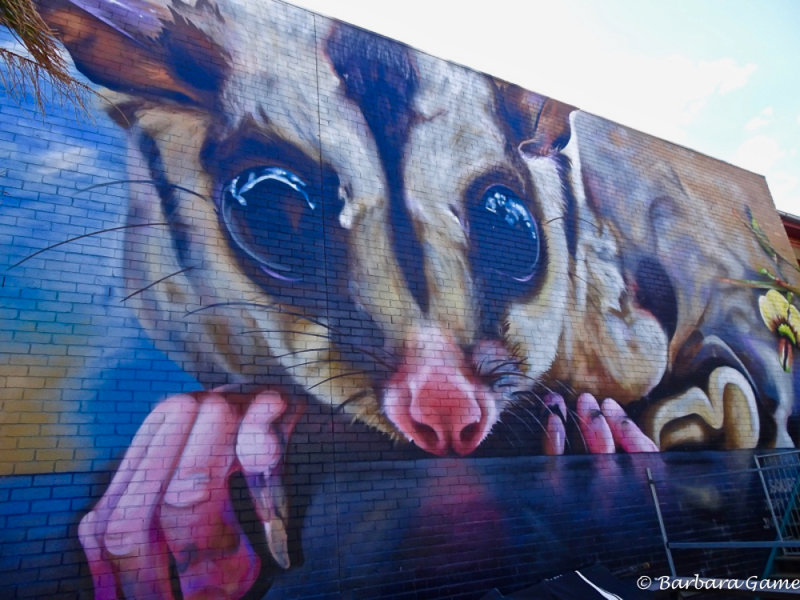 Benalla 2019 Wall to Wall Art festival, street mural