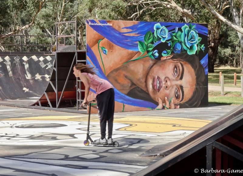 Benalla 2019 Wall to Wall Art festival, park mural