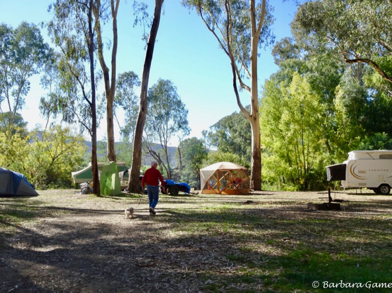 Pleasant camping spot along the King Valley