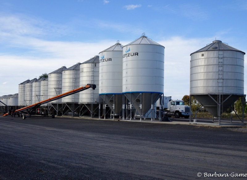 Line up of new grain storage silos, near Benalla