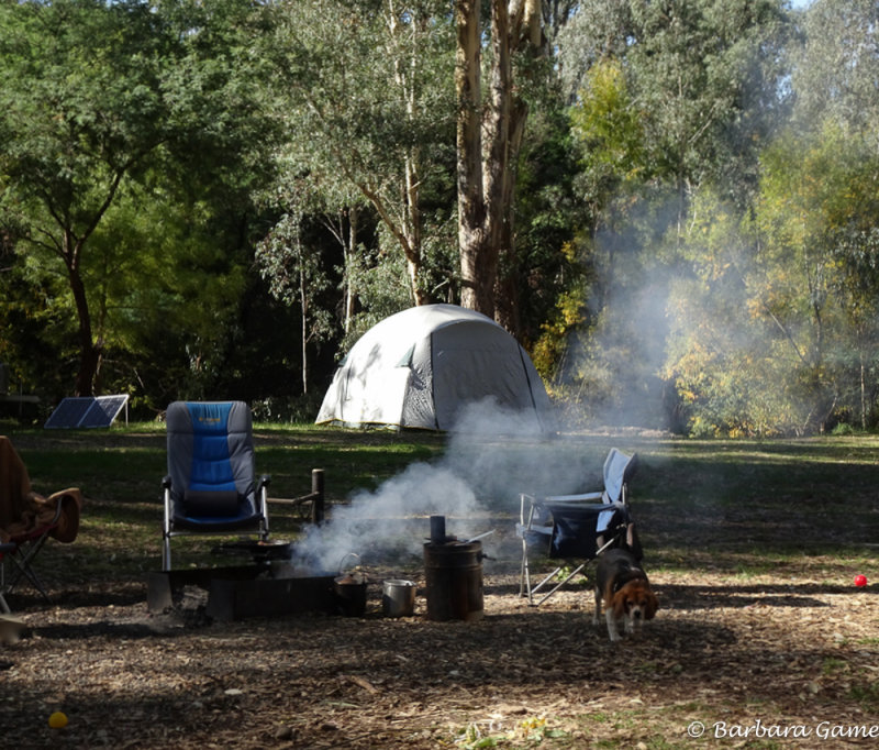 Camping area off the King Valley Road