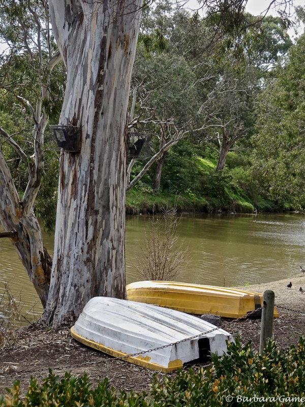 Waiting at the river Yarra, 10 minutes from the city centre