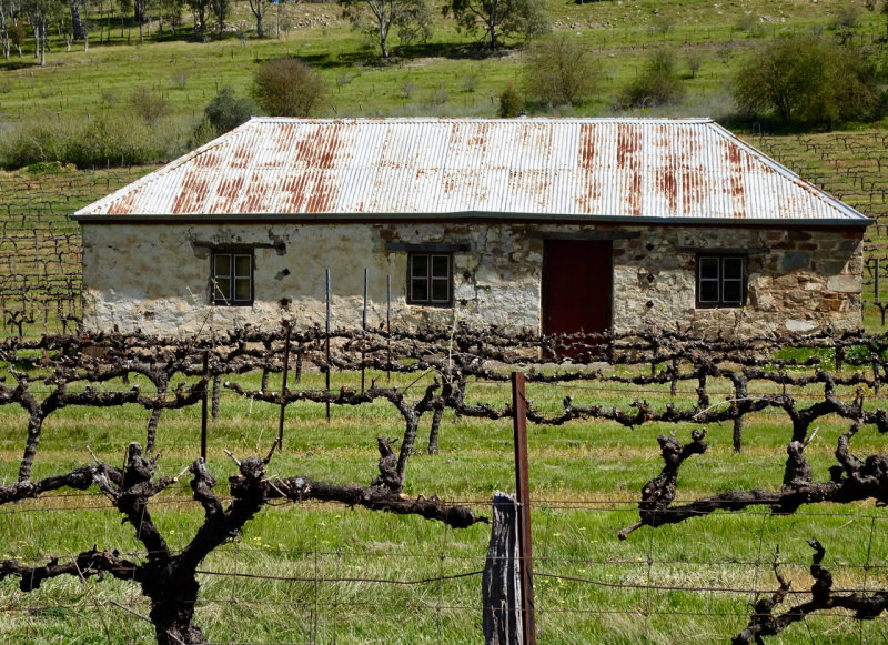 Along the Clare Valley