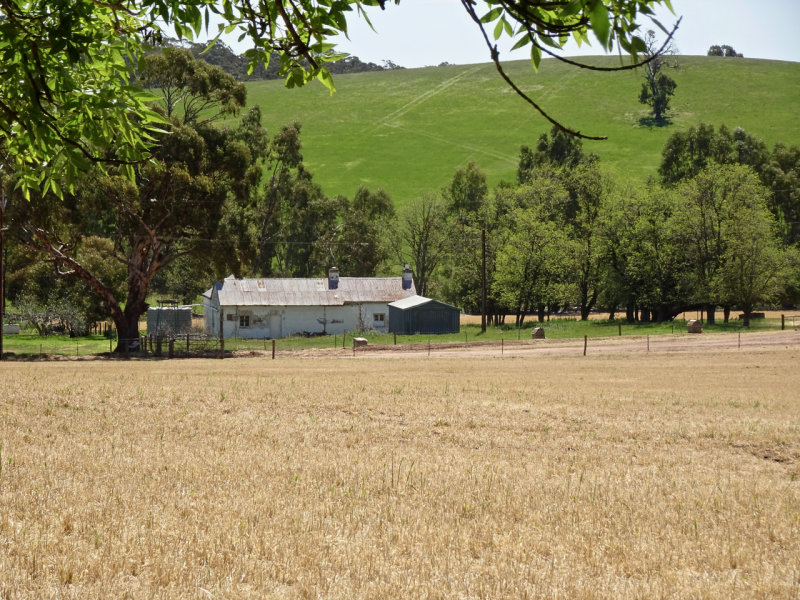  Sevenhill Cellars, Sevenhill