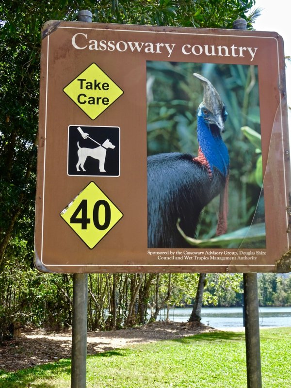 Watch out for cassowaries!