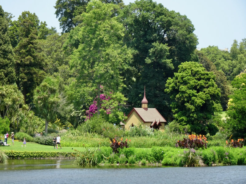 Across the lake, Royal Botanic Gardens