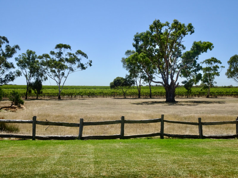 Penny's Hill Winery