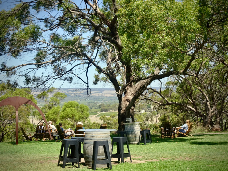 The d'Arenberg Winery Estate