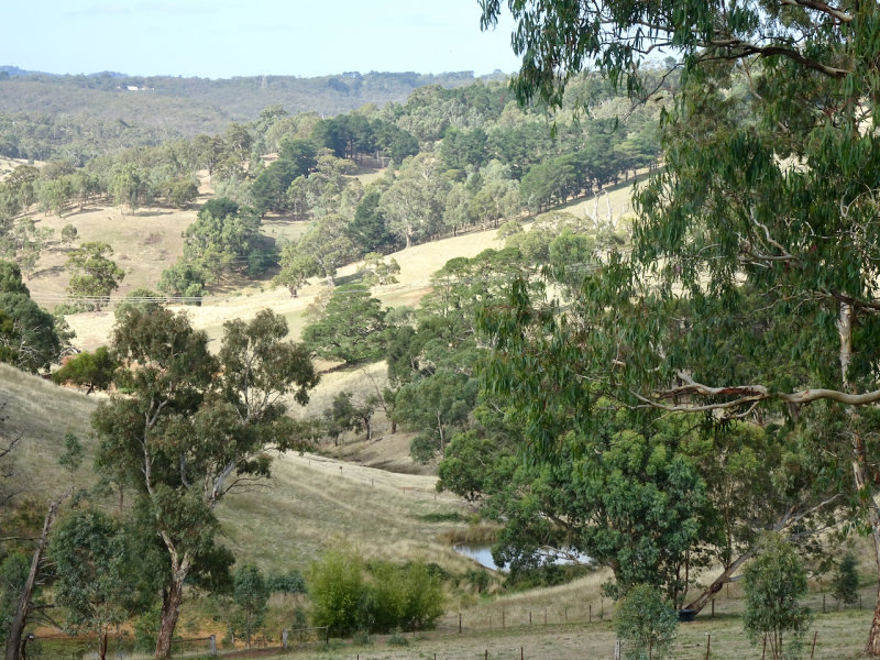 The Adelaide Hills