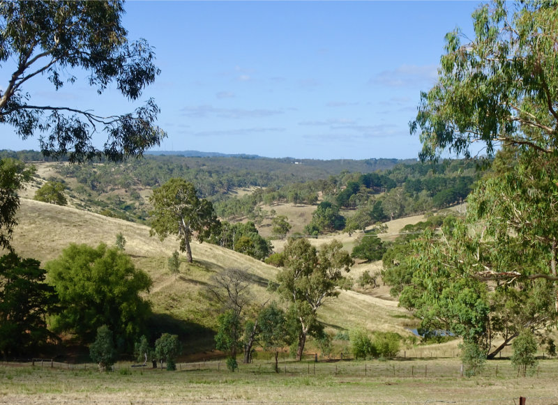 The Adelaide hills