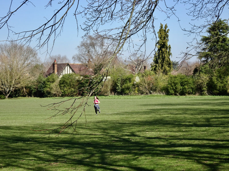 A walk from our house, Great Bookham