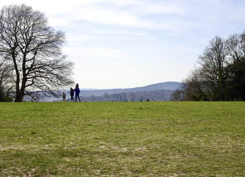A Shortened Sojourn in Surrey, UK in 2020