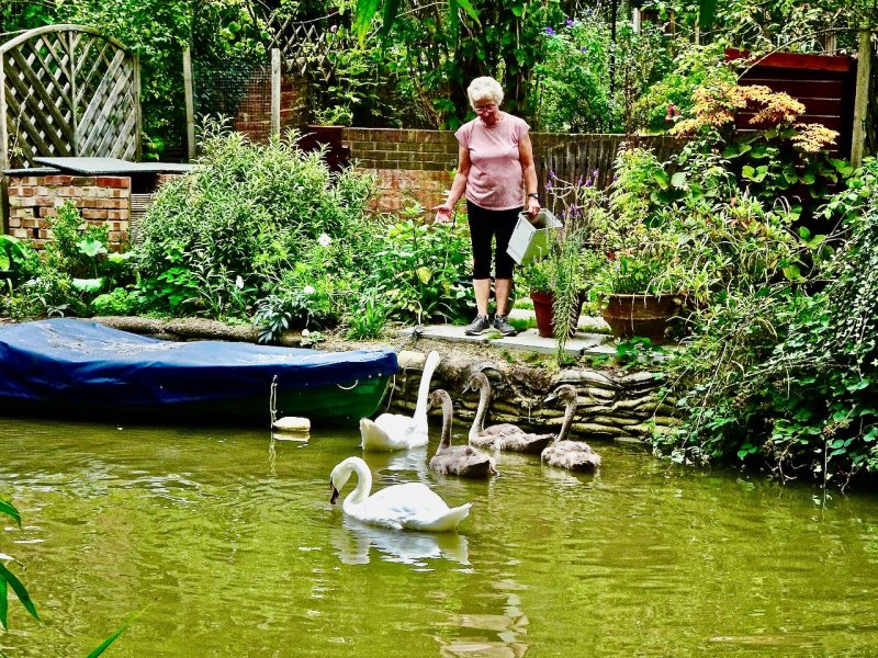 Oxford Canal