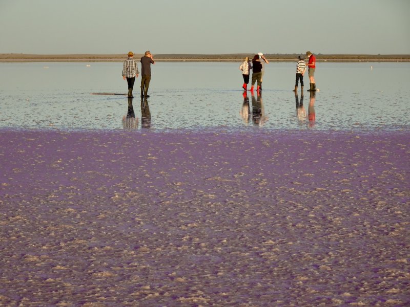 Lake Tyrrell, walking in the shallow salt water