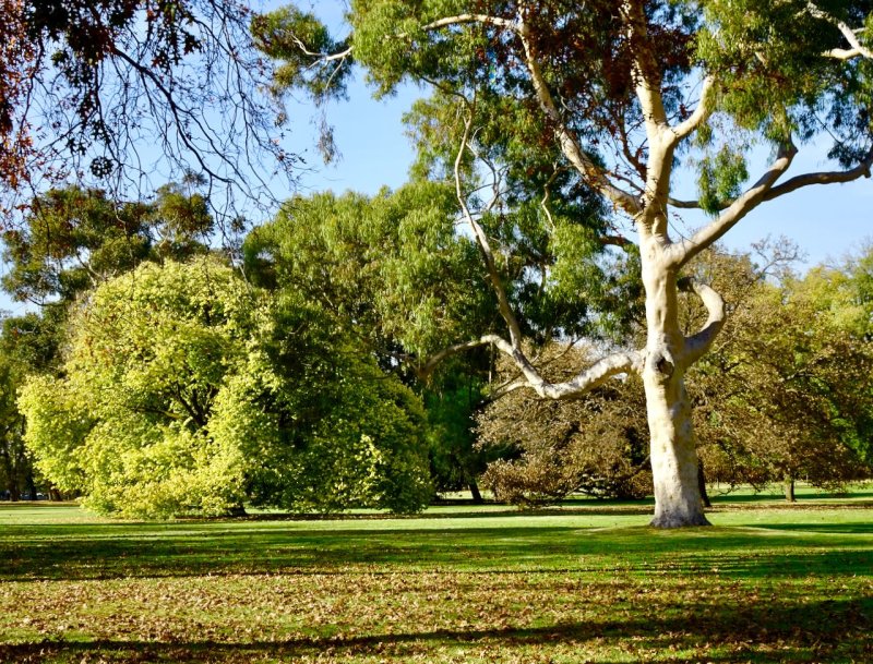 Fawkner Park, Melbourne