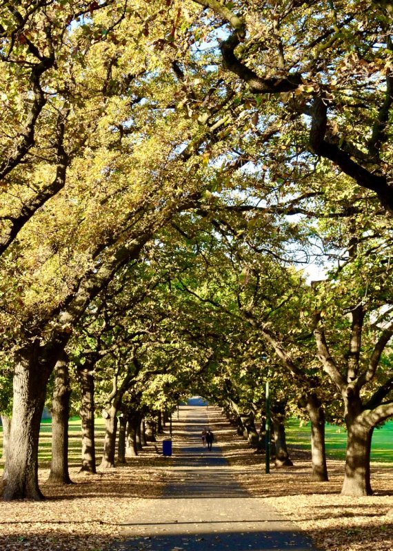 Fawkner Park, Melbourne