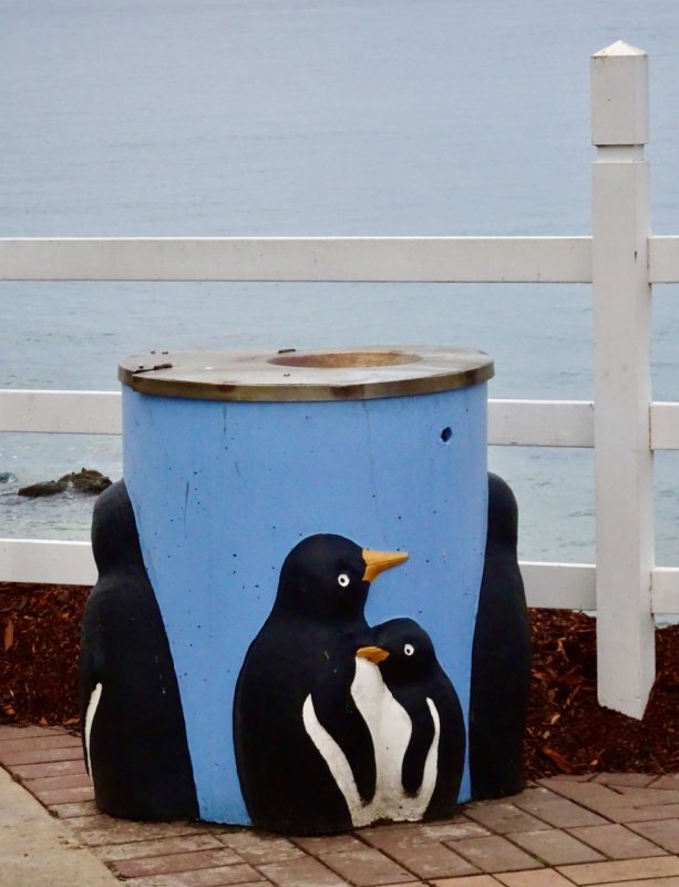 Penguin, litter bin