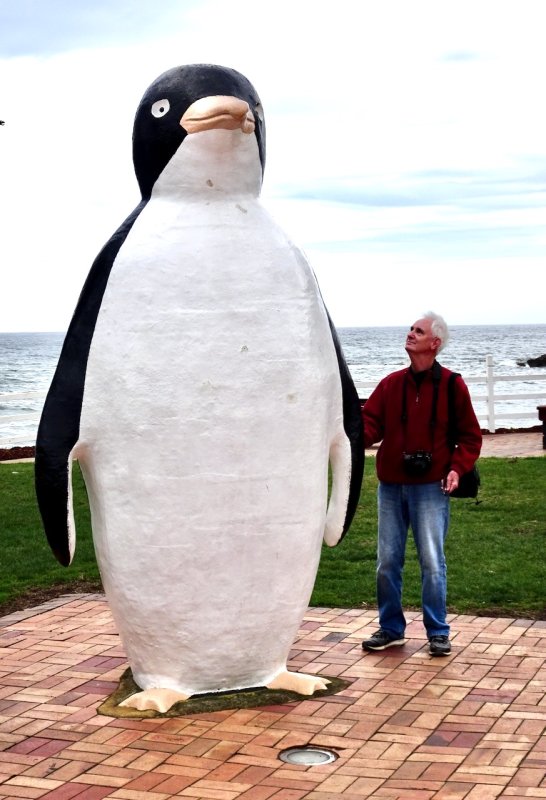 The Big Penguin at Penguin
