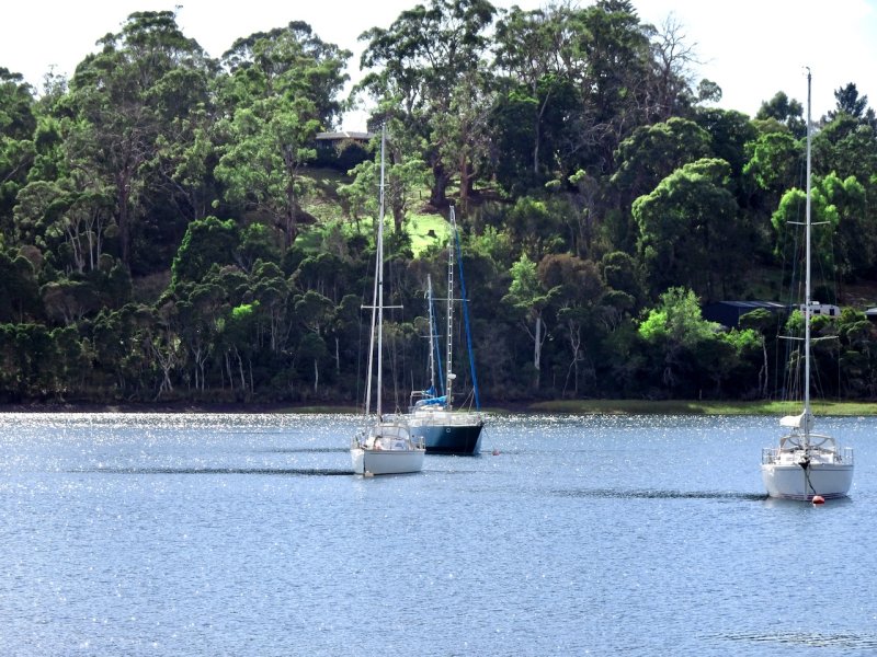 At rest on the Tamar