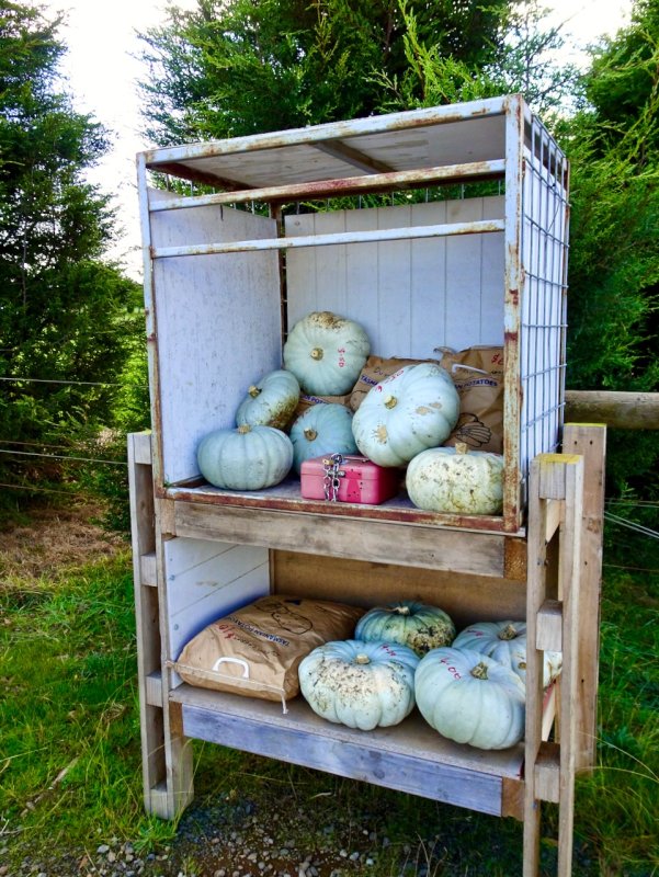 Roadside honesty stall - potatoes and pumpkins