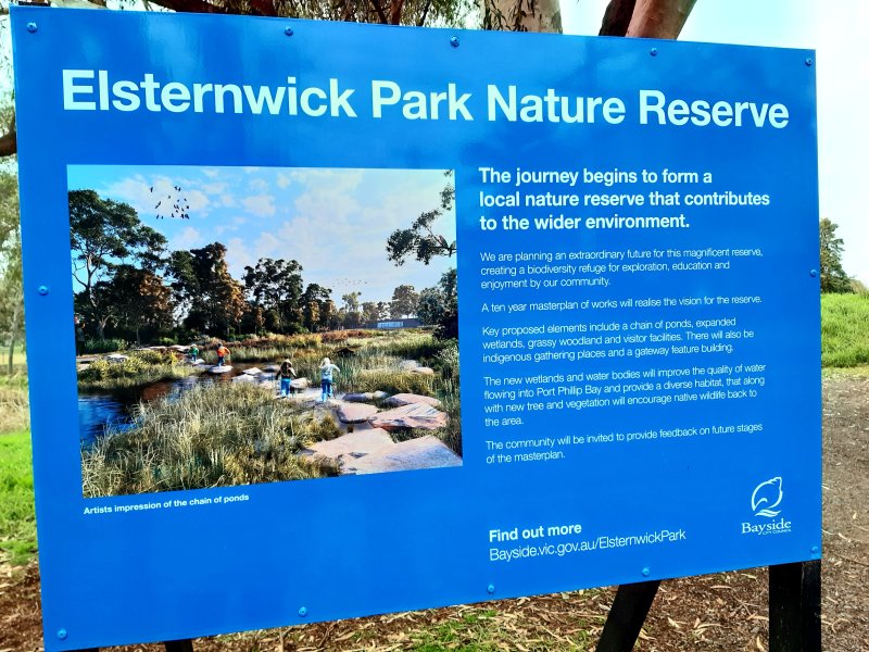 Elsternwick Park,  a lock-down walk