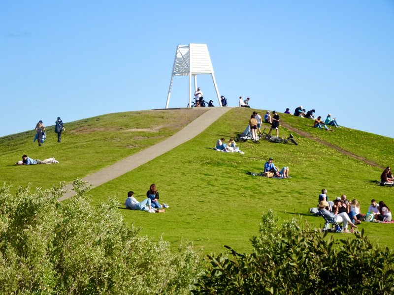 Elwood hill on a sunny spring day