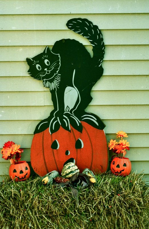 Halloween decoration Allentown, PA