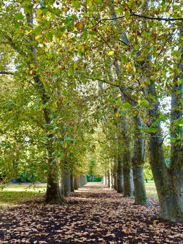 Fitzroy Gardens, Melbourne