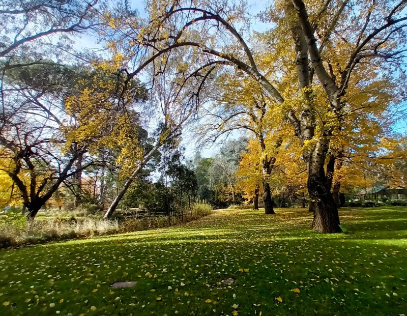 Bendigo Botanical Gardens