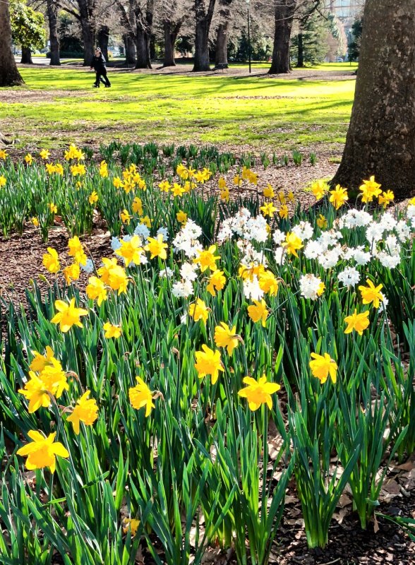 Fitzroy Gardens, Melbourne 