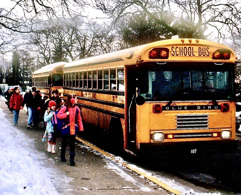 School buses at hometime.