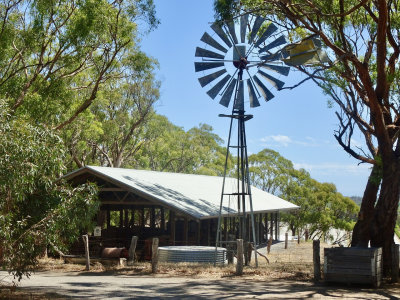 The d'Arenberg Winery