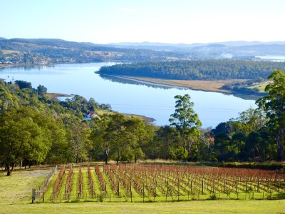 Bradys Lookout, over the Tamar River