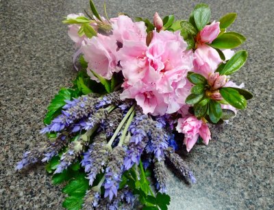 A bunch from our garden for a neighbour - azaleas and lavender