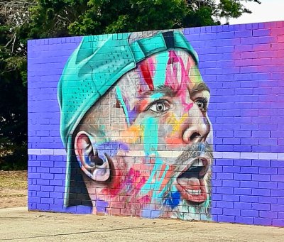 Wall Art, Melbourne, Dylan Alcott