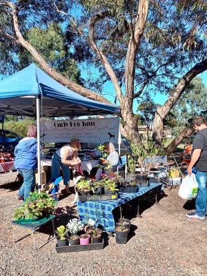 Country Farmers Market, stalls among the gum trees