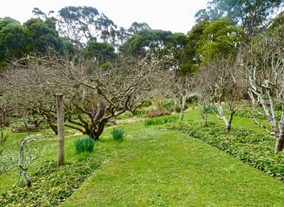 Garden of St Erth, Blackwood Victoria 