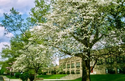 North Wales Elementary School, PA, in Spring.