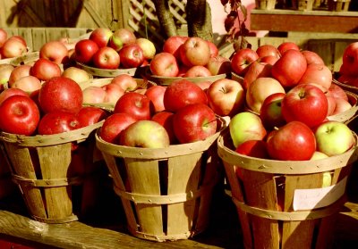 Fall apples at roadside stall, rural PA