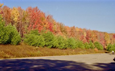 Beautiful fall colours, rural PA