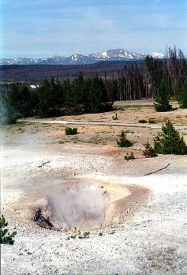 Sulphur springs, Yellowstone NP, Wyoming3