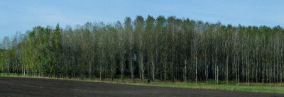 g12/72/632072/3/169953465.s40waEkQ.jpg